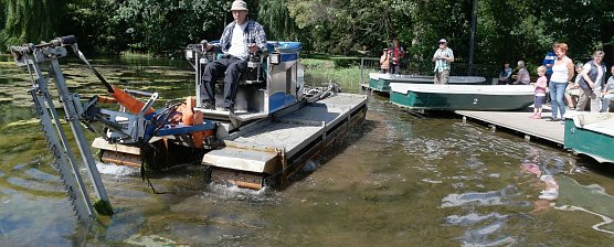 Klaus-Stephan Schunke m&auml;ht die Pflanzen im Gondelteich (Foto: nnz)