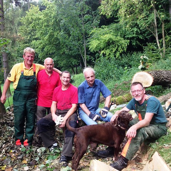 Ordentlich angepackt - acht Mitglieder des Ahornparkvereins schafften den alten Baumriesen aus dem Weg (Foto: Ahornpark Ilfeld e.V.)