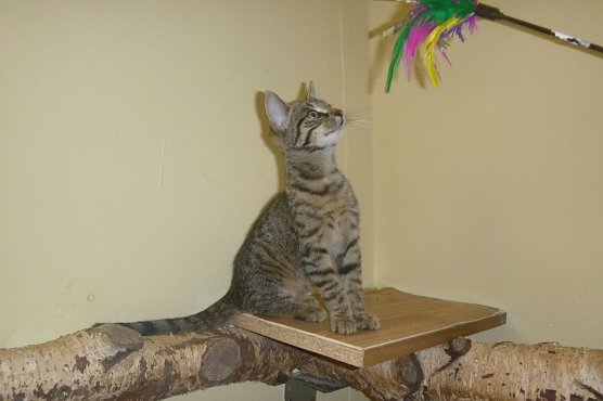 Tier der Woche: Winni (Foto: Birgit Hellrung) Tier der Woche: Winni (Foto: Birgit Hellrung)