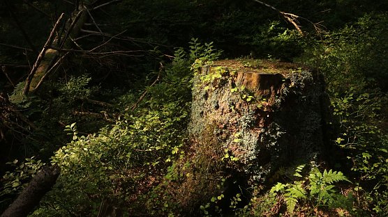 Wetterbild (Foto: Angelo Glashagel) Wetterbild (Foto: Angelo Glashagel)