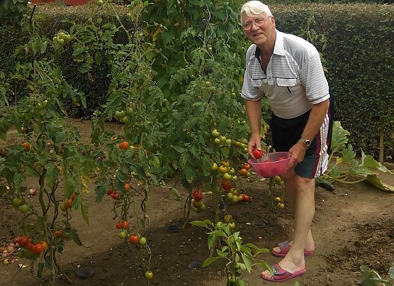 Kleines Paradies (Foto: Kurt Frank)