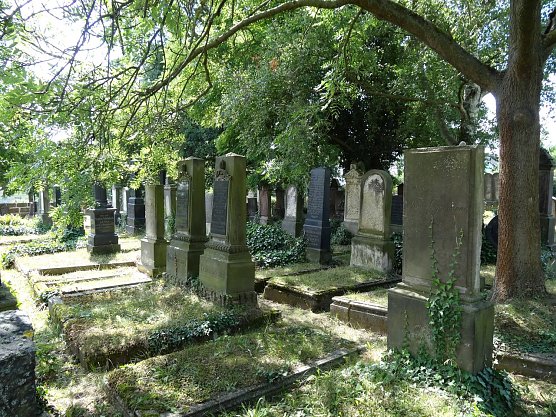 Grabsteinreihen auf dem j&uuml;dischen Friedhof in Nordhausen (Foto: Geschichts- und Altertumsverein)