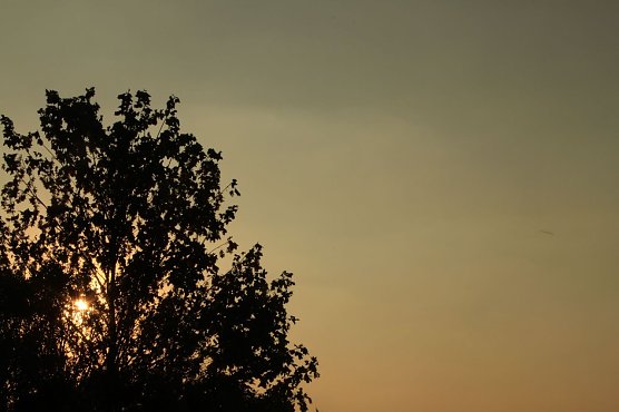 Wetterbild (Foto: Angelo Glashagel)