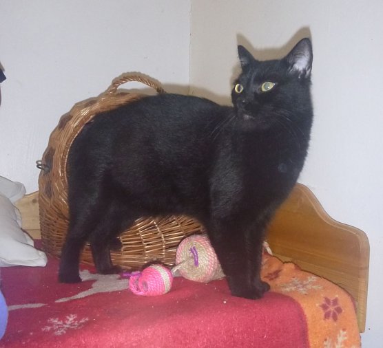 Tier der Woche: Baldo (Foto: Birgit Hellrung) Tier der Woche: Baldo (Foto: Birgit Hellrung)