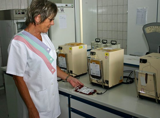 Verarbeitung einer Vollblutkonserve (Foto: SHK)