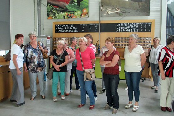 12. Bezirksfrauenforum des VdK in Leinefelde (Foto: Ronald Römer) 12. Bezirksfrauenforum des VdK in Leinefelde (Foto: Ronald Römer)