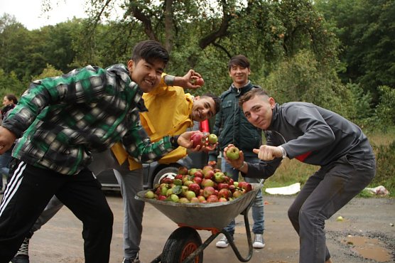 &Auml;pfel f&uuml;r Aleppo geht in die zweite Runde (Foto: Angelo Glashagel)