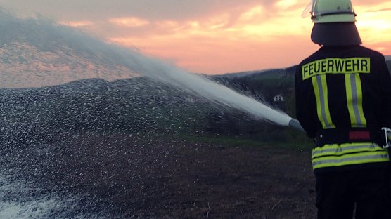 Feuerwehr verpflichtet (Foto: Christoph Burkert)