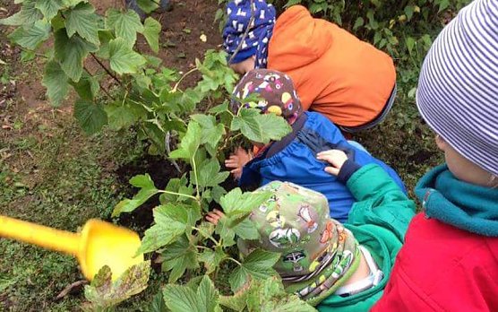 Geg&auml;rtnert (Foto: S. Ernst)