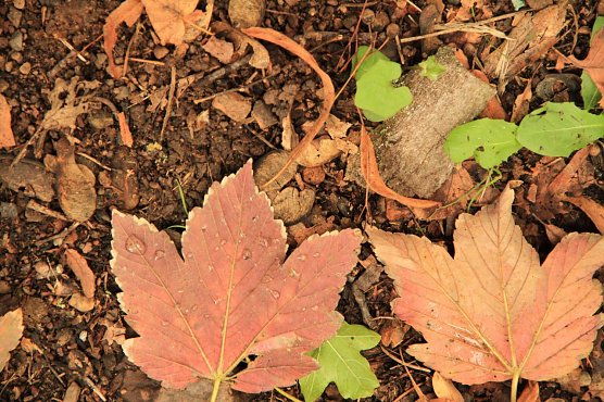 Wetterbild (Foto: Angelo Glashagel) Wetterbild (Foto: Angelo Glashagel)