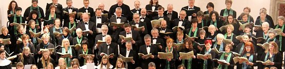 Bild: Kantoreikonzert zum Gedenken an Max Reger am Samstag in Nordhausen