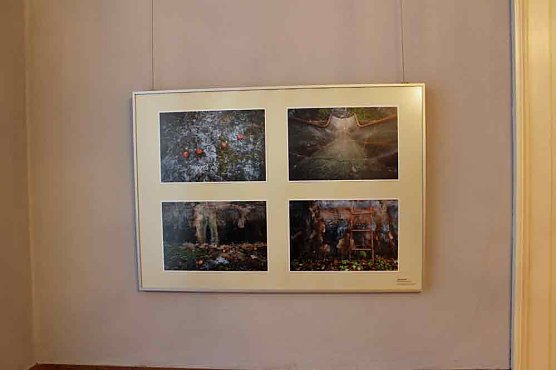 Landesfotoschau in Nordth&uuml;ringen (Foto: Karl-Heinz Herrmann)