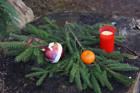 Advent im Park Hohenrode (Foto: nnz)