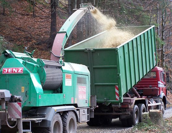 Hacker (Foto: Thüringenforst) Hacker (Foto: Thüringenforst)