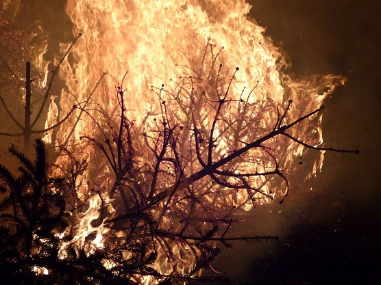 Knutfest in Heringen 2017 (Foto: Angelo Glashagel)