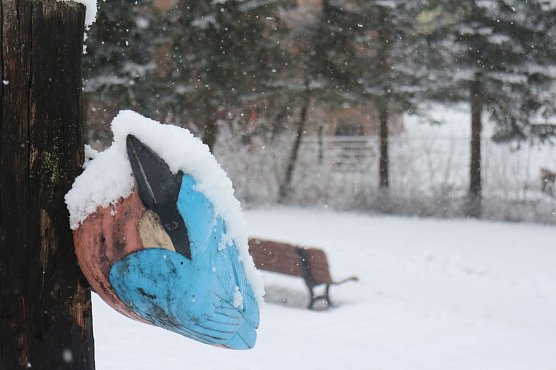 Wetterbild (Foto: Angelo Glashagel) Wetterbild (Foto: Angelo Glashagel)