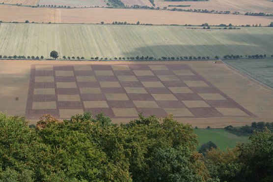 Größtes Schachspiel der Welt (Foto: Kyffhäuser Tourismusverband) Größtes Schachspiel der Welt (Foto: Kyffhäuser Tourismusverband)