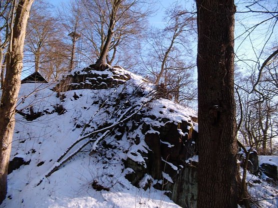 Auf dem Ilfelder Burgberg will man wieder anpacken (Foto: Ulrike Tuschy) Auf dem Ilfelder Burgberg will man wieder anpacken (Foto: Ulrike Tuschy)
