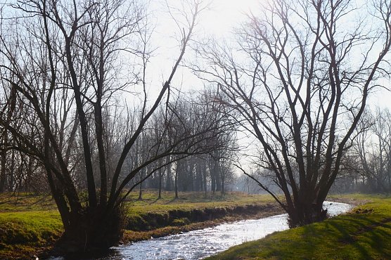 Wetterbild (Foto: Angelo Glashagel) Wetterbild (Foto: Angelo Glashagel)