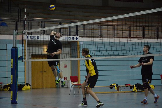 Die Nordh&auml;user Volleyballer sind am Samstag zu Gast beim SV Reudnitz  (Foto: Sandra Arm)