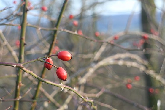 Wetterbild (Foto: Angelo Glashagel) Wetterbild (Foto: Angelo Glashagel)