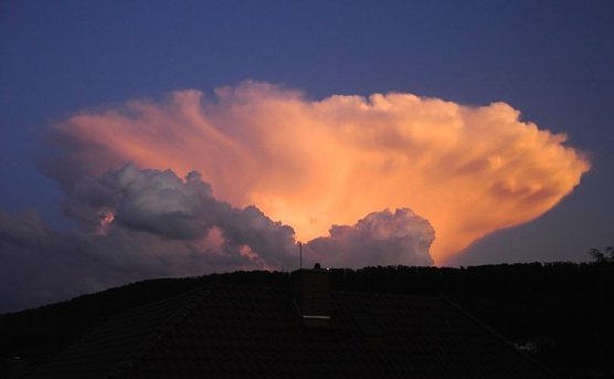 Phänomen (Foto: M. Nieft) Phänomen (Foto: M. Nieft)