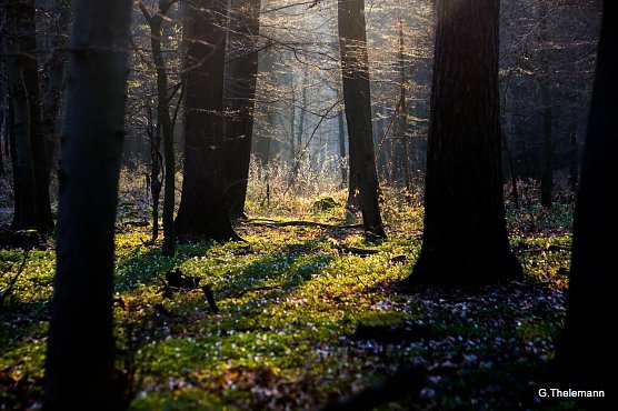 Wetterbild (Foto: Gernot Thelemann)