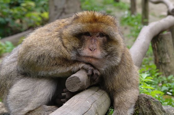 Heute noch sonnen (Foto: Gernot Thelemann)