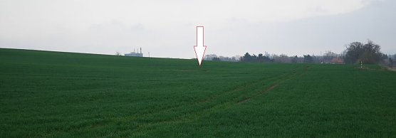 Hier liegt der Blindg&auml;nger begraben (Foto: nnz)