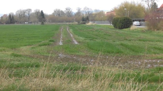 Der Terragator hinterlie&szlig; auch Spuren im Feld (Foto: Kurt Frank)
