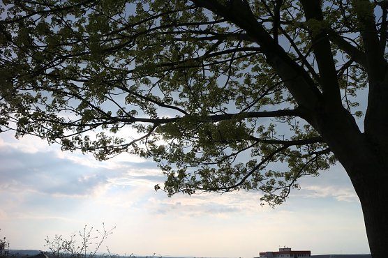 Wetterbild (Foto: Angelo Glashagel)