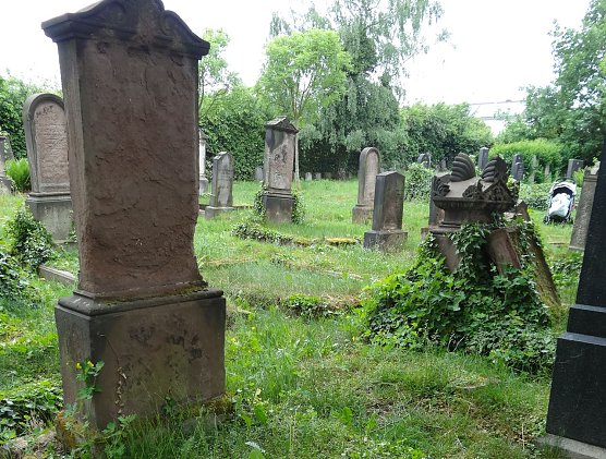 Steinerne Zeugnisse (Foto: privat)