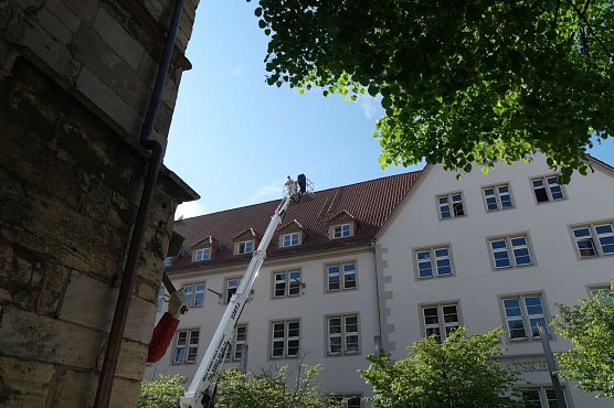 Tauben sollen vergr&auml;mt werden (Foto: nnz)