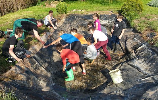 Biotop der Grundschule Wipperdorf (Foto: privat)