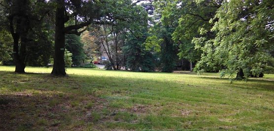 Ordentlich in Schuss: Park Hohenrode. Im Hintergrund die Villa. (Foto: Kurt Frank)