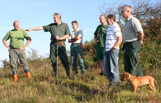Schilfpflege (Foto: Piper/pln) Schilfpflege (Foto: Piper/pln)