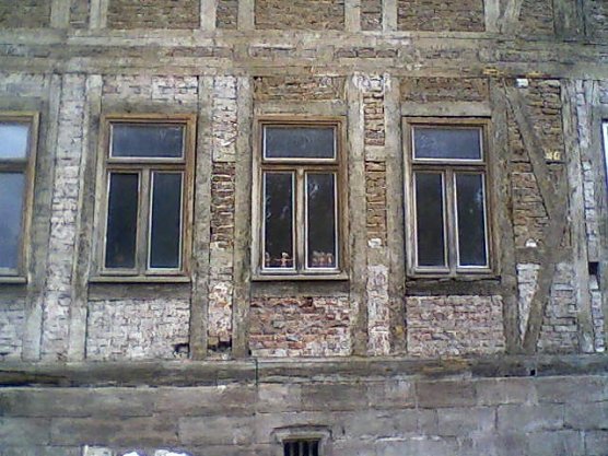 Barbie-Puppen im Fenster (Foto: D. Reinhardt)