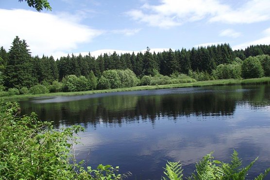 Marienteich (Foto: Kurt Frank)