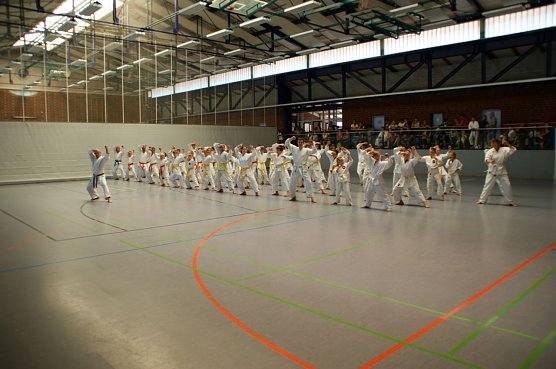 Bild: Karatetreffen in Kelbra