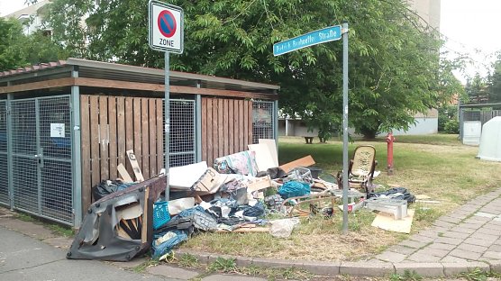 Bild: M&uuml;llkippe Salza?