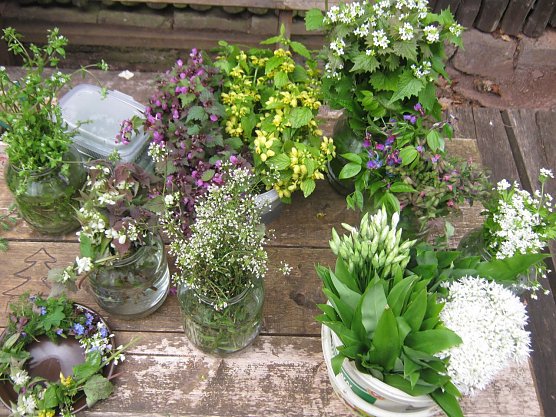 Am Samstag geht es bei Neustadt raus in die Natur (Foto: Naturpark Kyffh&auml;user/S&uuml;dharz)