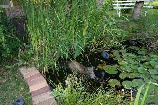 leserfoto (Foto: leserfoto)