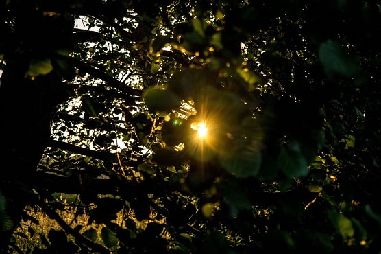 Wetterbild (Foto: Gernot Thelemann)