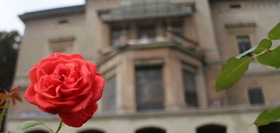 3. Diner en blanc im Park Hohenrode (Foto: Angelo Glashagel)