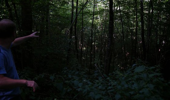 Blick auf eine ehemals versch&uuml;ttete Stra&szlig;e (Foto: nnz)