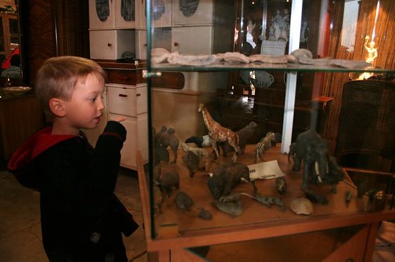 Neugierige Besucher (Foto: Piper/pln)