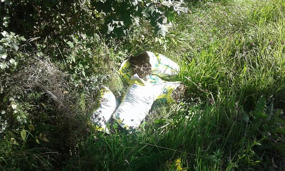 Auch Biom&uuml;ll kann ein &ouml;kologisches Problem sein (Foto: Bodo Schwarzberg)