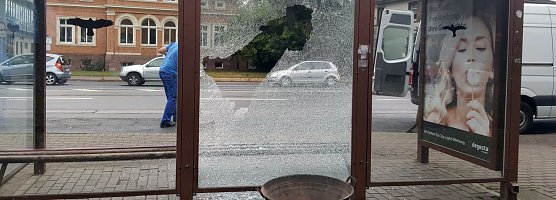 Sinnlos zerst&ouml;rt (Foto: nnz)