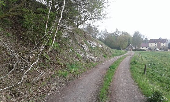 Im Juni 2017 (Foto: B. Schwarzberg)