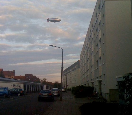 Entdeckt (Foto: N. Jahn) Entdeckt (Foto: N. Jahn)